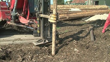 Vroom Funderingstechnieken Wooden piles with concrete pile caps
