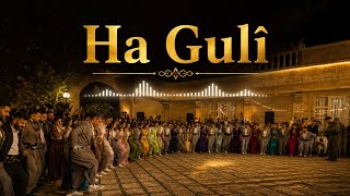Ha Gulî - (2026) - Koma Keç Û Xort