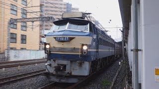【EF66】東北線貨物列車  大宮-土呂⑤【EH500】