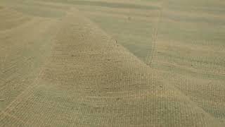 Rug &amp; Kilim’s Contemporary Textural Solid Kilim in Ice Blue and Gold Tomes -36219