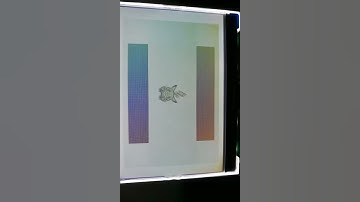 Gunboy on LicheePi Zero