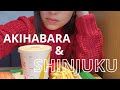 Vlog | Commissioni tra Akihabara e Shinjuku