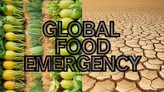 Why We're Running Out of Food: The Shocking Truth Behind Global Food Shortages Why We're Running Out of Food: The Shocking Truth Behind Global Food Shortages