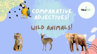 Comparing Wild Animals For Kids! | English Comparative Adjectives | ESL Grammar