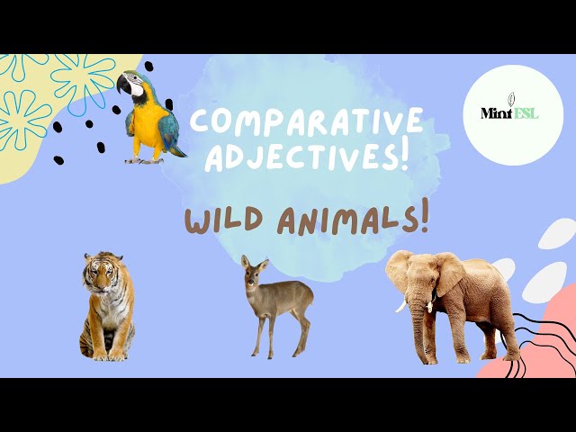 Basic Animal Comparatives - Comparing Wild Animals