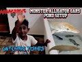 Monster Alligator Gar New Tank Updates | Simbaa Vlogs