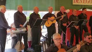 Los Amigos cantada por Amigos de la Ronda y Bolero en Fiestas San Gregorio Pozoblanco by El Quincenal de Los Pedroches 82 views 2 days ago 4 minutes, 18 seconds