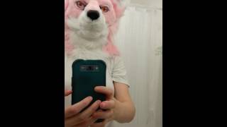 #10 husky head jaw test