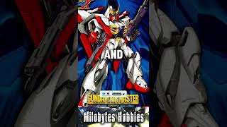 All 4 Gundam X 30th Anniversary Hg 1100 Kits Which One Is Your Favorite