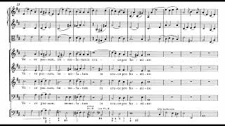 Wolfgang Amadeus Mozart - Ave verum corpus, K. 618 (Bernstein, live)