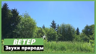 Ветер на лужайке, Звуки природы слушать онлайн