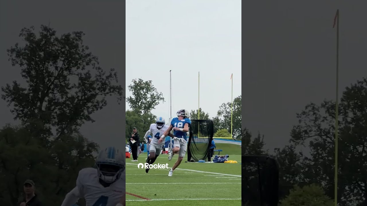 TeSlaaaaa Detroit Lions