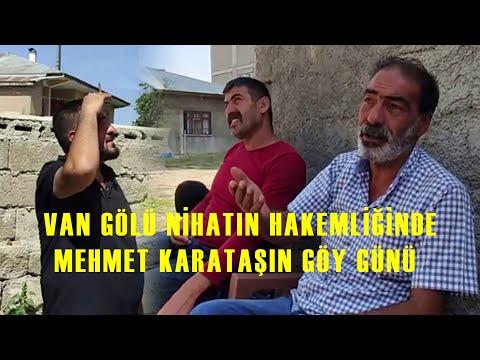 Video: Festival Yavruları