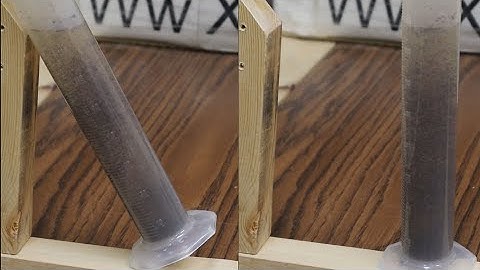 Boycott Effect Demonstration