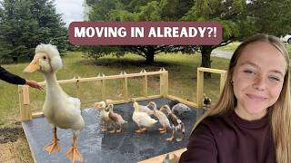 Building Our Duckling's House from Scratch!