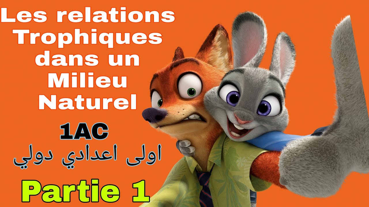 Les Relations Trophiques dans un Milieu Naturel ||1AC || Partie1 || العلاقات الغذائية في وسط طبيعي