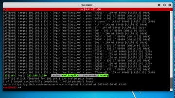 Bruteforcing SSH using hydra