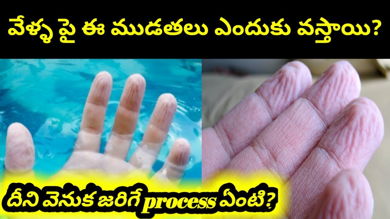 Why our fingers get wrinkled in water Dark world telugu