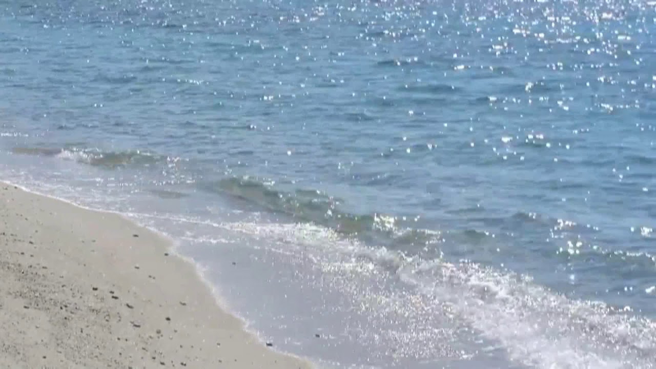 Soltanto La Musica è All'altezza Del Mare