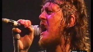 Zucchero - Dune Mosse (Live 1995) chords