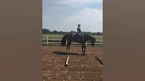Bruno and Evan attempting 360