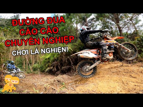 Video Cào Cào Vlog Đà Lạt Full - Trải Nghiệm ĐƯỜNG ĐUA... - youtube