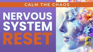 Calm the Chaos: Nervous System & Emotional Reset