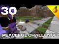 Peaceful Challenge #30: Pushing Sheep Around