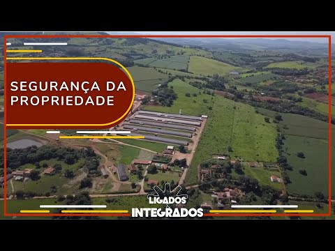 Seguro rural protege produtor de prejuízo gerado pelas fortes chuvas | Ligados&Integrados - 27/11/23