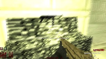 Call of Duty Custom Zombies - Temple Maze