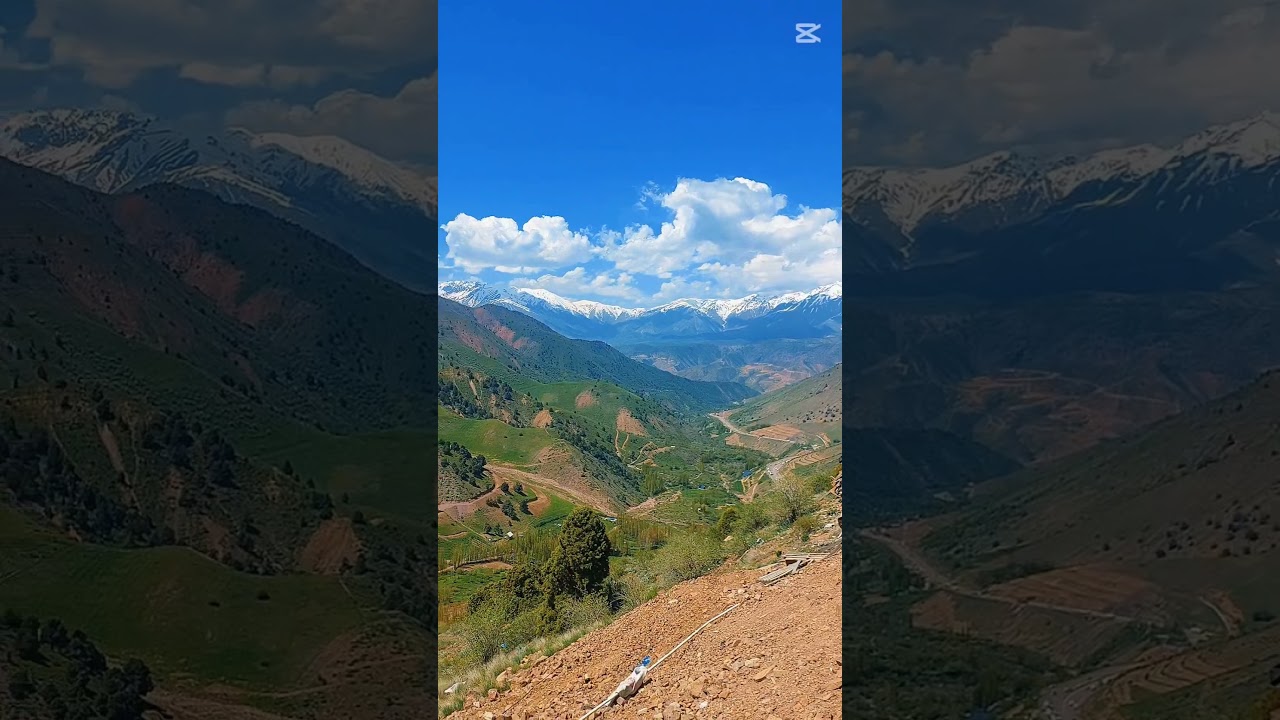 Nature’s Peaceful Beauty