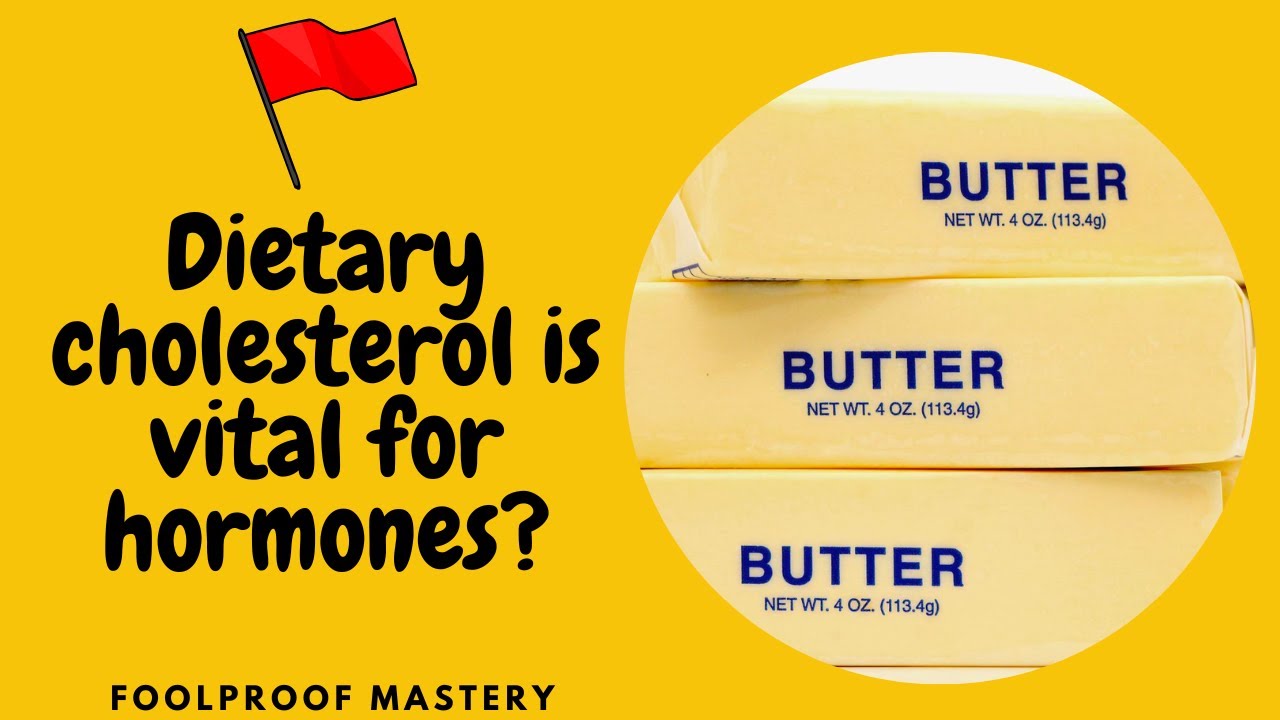 FACT CHECK Is dietary cholesterol essential for hormone function