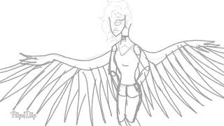 Animation Wing Test