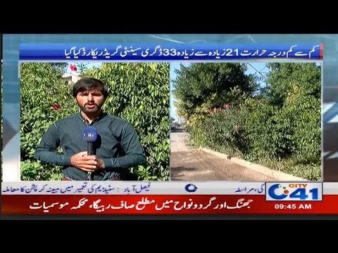 citycell Weather Become Pleasant After Rains