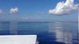 North wall diving in Grand Cayman with Divetech