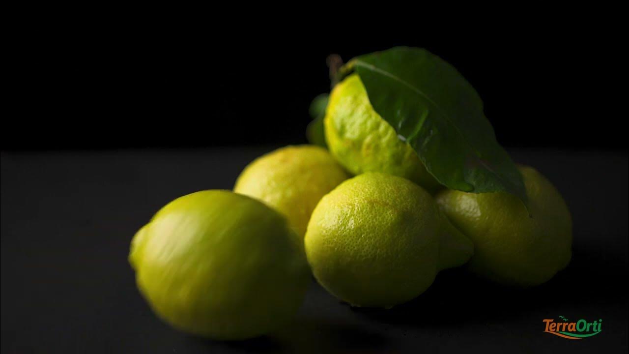 Limoni - YouTube