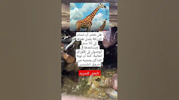 هل تعلم أن لسان الزرافة يصل طوله إلى 50 سم ويساعدها في الوصول إلى الأوراق العالية كما أن لونه 