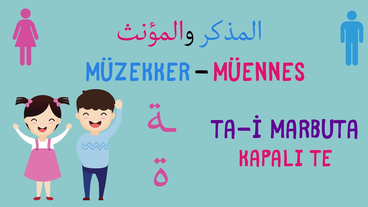 Arapça | Müzekker Müennes | Ta-i Marbuta | Kapalı Te