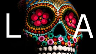 Los Angeles After Dark: The Ultimate Nightlife Experience