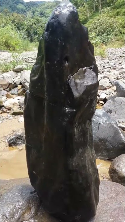 Suiseki Fossil Rock Black and White #viral #viralvideo #shorts #shortvideo #suiseki #batuakik