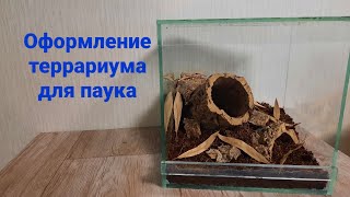 Оформление террариума для паука-птицееда. Tarantulas enclosure build. #террариум