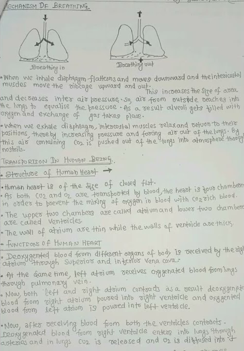 life-process-class-10-biology-chapter-1-notes-pdf-in-description