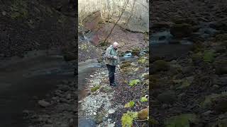 Ловим, отпускаем #fishingvideo #troutfishing #форелеваярыбалка #рыбалка #fishing #форель