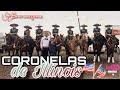 CORONELAS, ILLINOIS | NACIONAL 2019