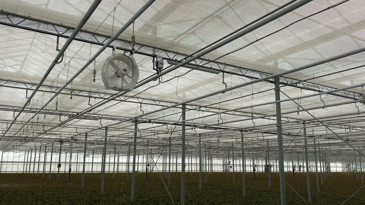 Multifan horizontale ventilator HCTS