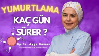 Yumurtlama Dönemi Kaç Gün Sürer?