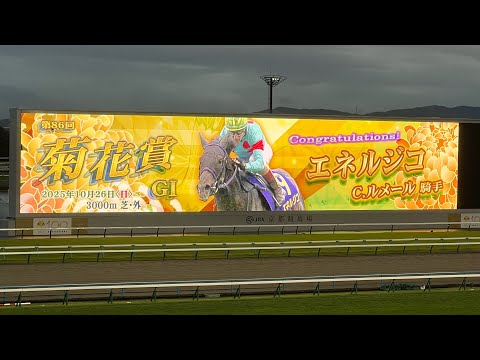 【2025 菊花賞】エネルジコが淀のスタミナ勝負を制す！武豊マイユニバースは後方から押し上げる競馬も直線力尽き13着