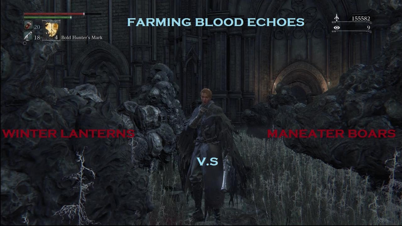 Bloodborne Blood Echoes Farming Boars vs Lanterns YouTube