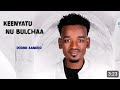 Doonii ankookeenyaa nu bulchaasirbaa aadaa oromoo arsiinew oromo music 2023