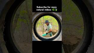 Building a Wooden Forest House with Natural Materials | Peaceful Living 🌲